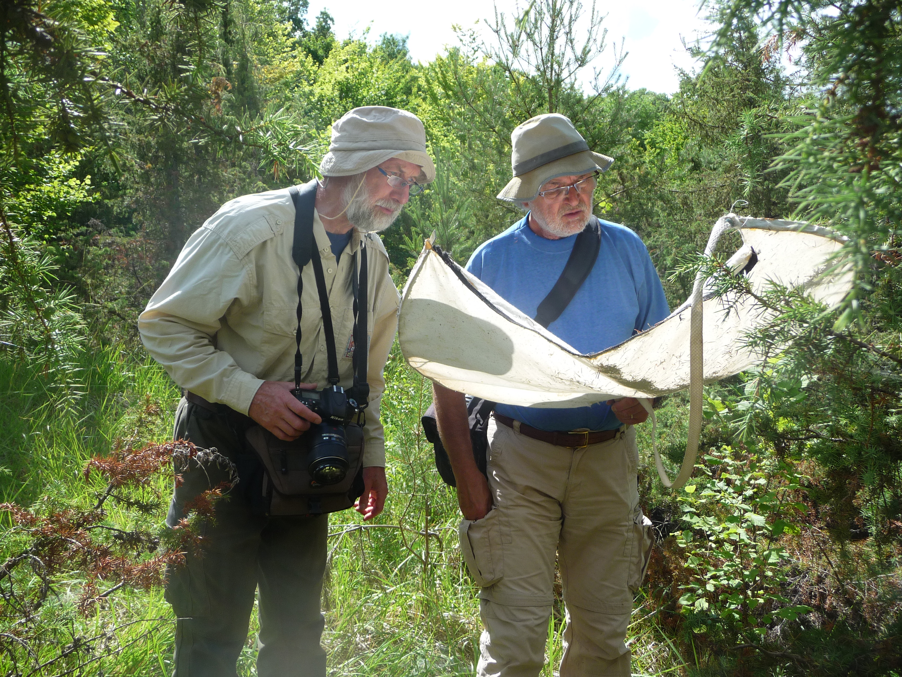 Observation de terrain du CEN Centre Val de Loire