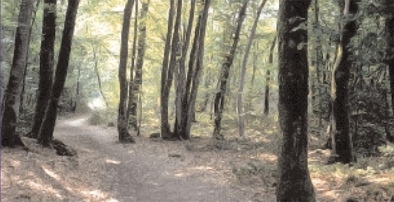 Exposition panneaux Arbre en sa forêt