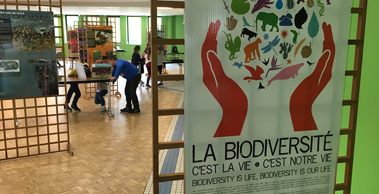 Exposition "Biodiversité, c'est la vie, c'est notre vie" - version légère