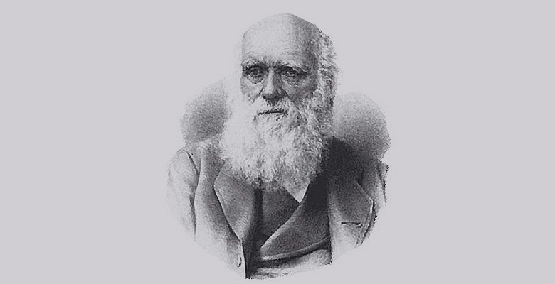 Exposition panneaux "Charles Darwin, évolution"