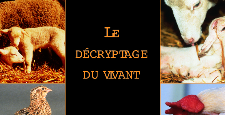 Exposition panneaux "Le décryptage du vivant"