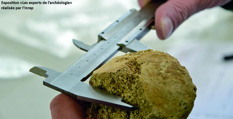 Exposition panneaux "Les experts de l'archéologie"