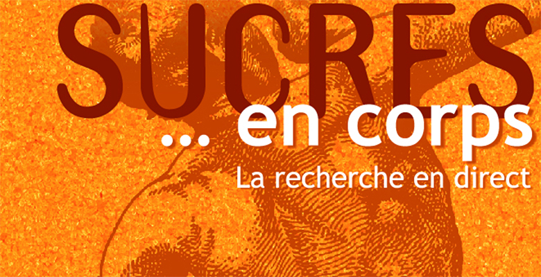 Exposition panneaux "Le sucre... En corps"