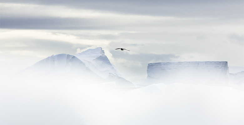 Vue aérienne sur l'Antarctique dans le brouillard