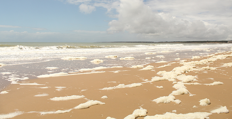 Photo d'une plage contenant de l'écume