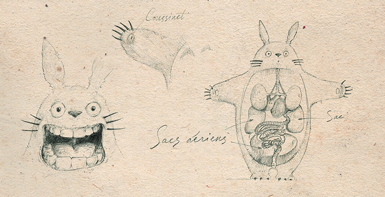 Illustration d'Arnaud Rafaelian issu de la couveture du livre « Anatomie comparée des espèces imaginaires » (Eds Cavalier Bleu)   