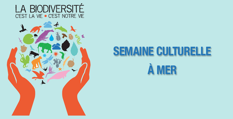 Semaine Culturelle dans la commune de Mer en Loir-et-Cher