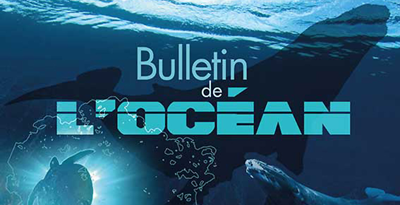 Bulletin de l'océan