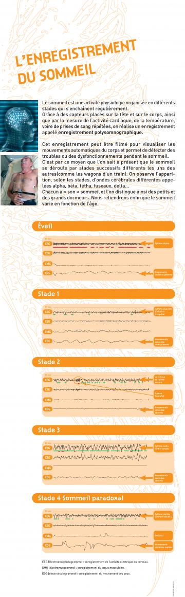 Exposition panneaux Le sommeil