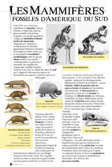 Exposition panneaux "Charles Darwin, évolution"