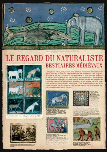 Exposition panneaux "Voici les éléphants, regards médiévaux sur l’éléphant"