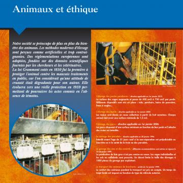 Exposition panneaux "Des animaux et des hommes : le comportement en élevage"