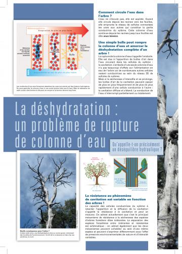 Exposition panneaux "Adaptation des forêts face au changement climatique"