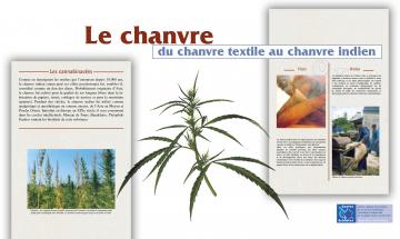 Exposition panneaux "Vices et vertus des plantes"