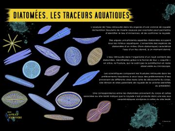 Panneau explicatif de ce que sont les diatomées