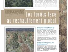 Panneau sur l'adaptation des forêts face au changement climatique