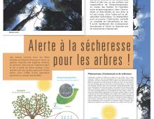 Panneau sur l'adaptation des forêts face au changement climatique