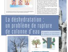 Panneau sur l'adaptation des forêts face au changement climatique