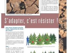 Panneau sur l'adaptation des forêts face au changement climatique