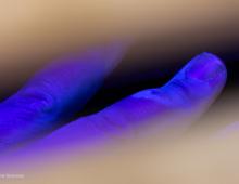 Observation main aux UV