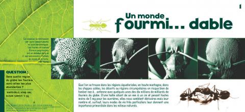 Expositions panneaux Les fourmis